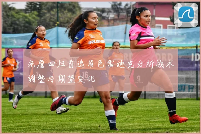 老詹回归首选角色雷迪克分析战术调整与期望变化